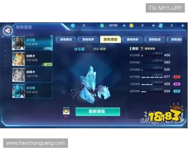 壹号专用红星：提升角色战力的红星装备搭配策略详解