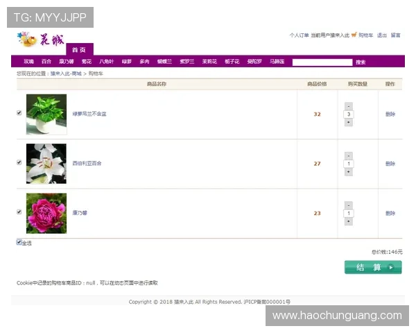 壹号官网网页版常见故障排查与技术支持指南确保游戏顺畅运行
