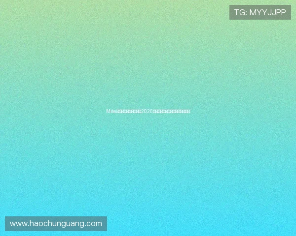 Mite娱乐版存档：全面解析2026年世界杯最新赛程与精彩赛事回顾